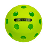 Pickleballsports The PPa Giant Pickleball