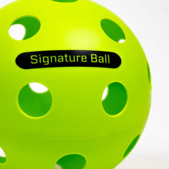 Pickleballsports The PPa Giant Pickleball