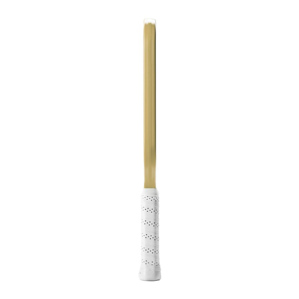 Pickleballsports Selkirk SLK ERA Power Elongated Pickleball Paddle