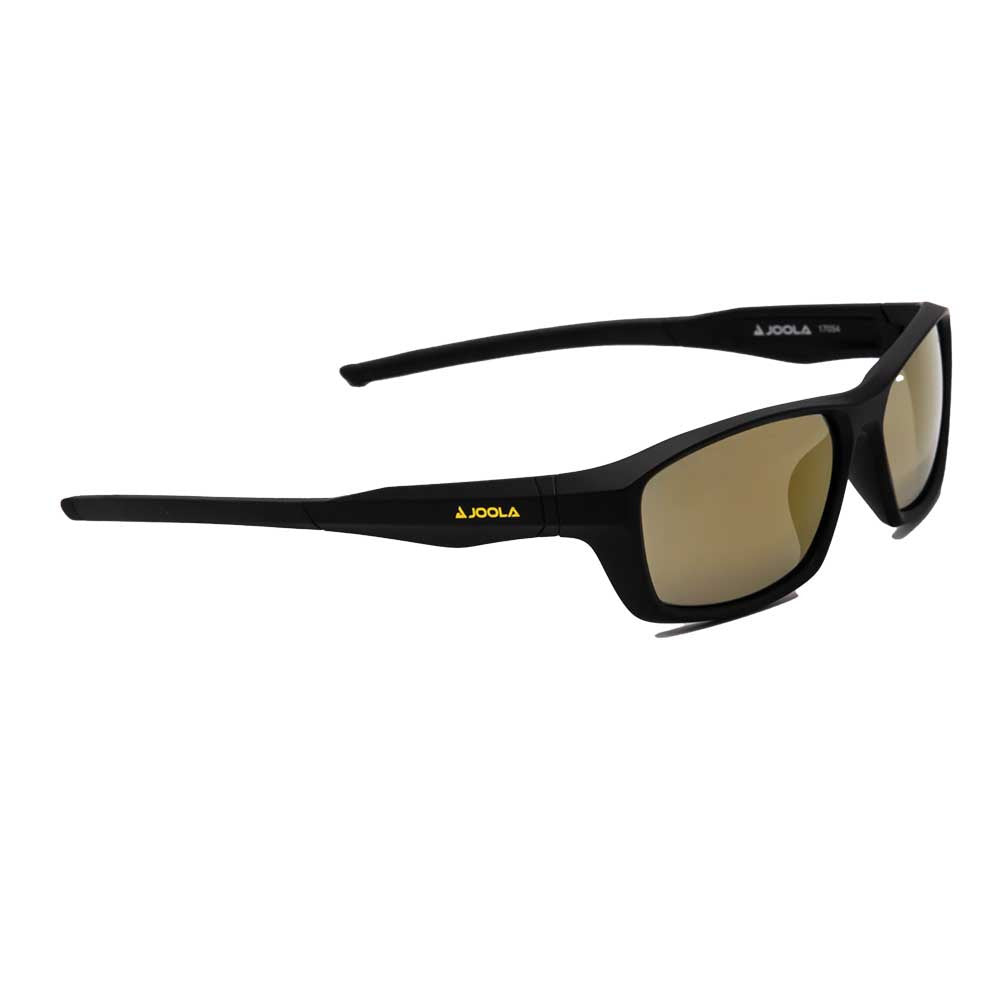 Pickleballsports JOOLA RJX Enhance Eyewear